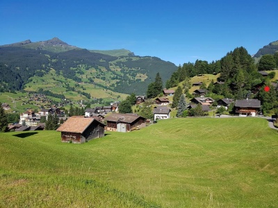 Blick zum Chalet Moosrain